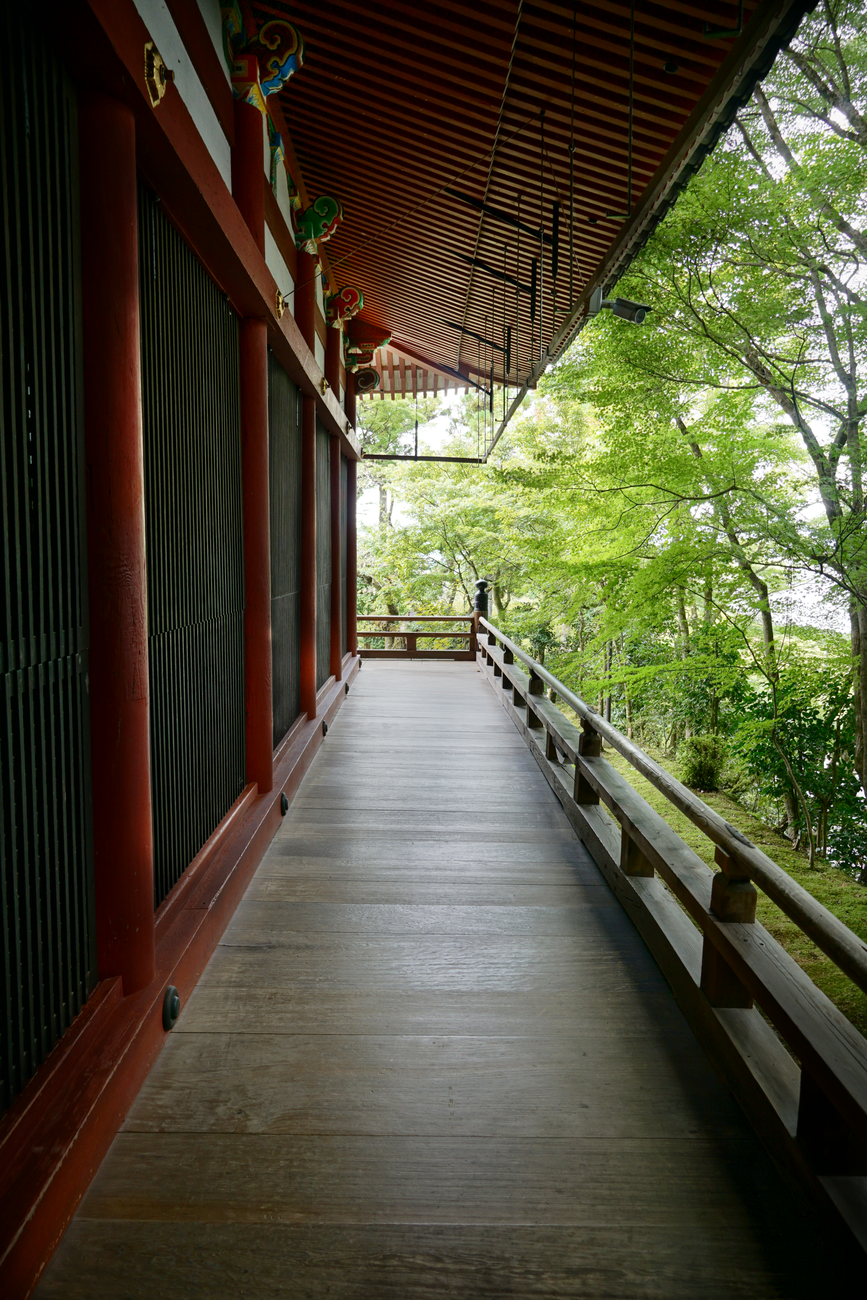 Ancient Kyoto moss garden and temple corridor