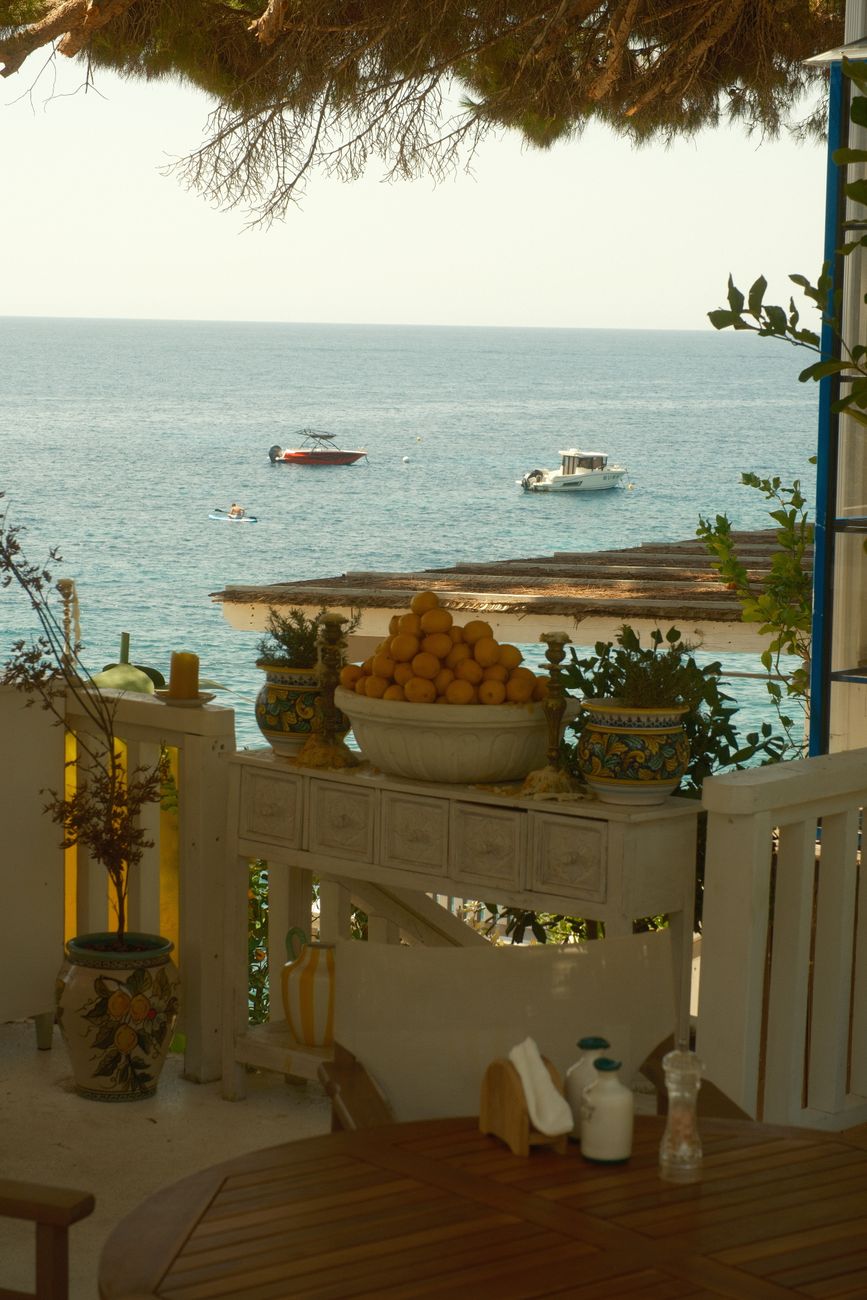 Campania lemon grove on coastal cliff